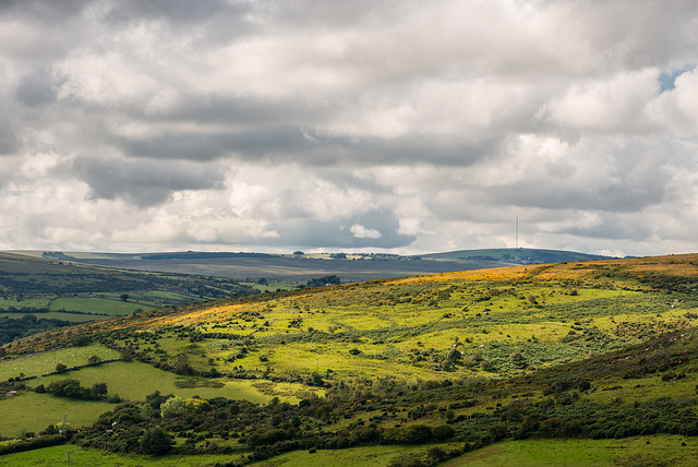 Dartmoor - 20150831