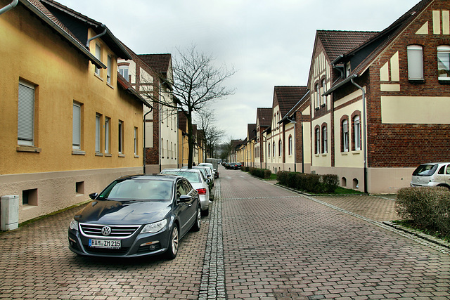 Heinrichstraße, Zechensiedlung (Hamm-Wiescherhöfen) / 3.02.2019