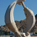 Mutrah : un'altra scultura marina sul porto