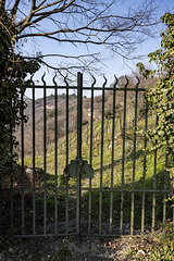 Coccaglio, Monte Orfano (Brescia) - Italia