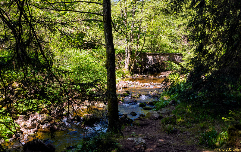 Die Warme Bode bei Braunlage