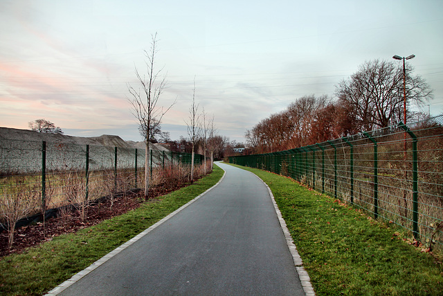 Radweg unterhalb der B223 (Mülheim-Styrum) / 7.01.2023