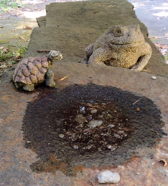 magic circle pond turns them into stone