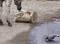 "You and me" "You and me"