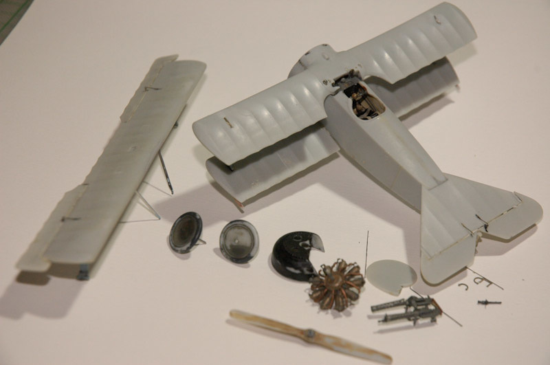 Dragon 1/48 Fokker Dr1