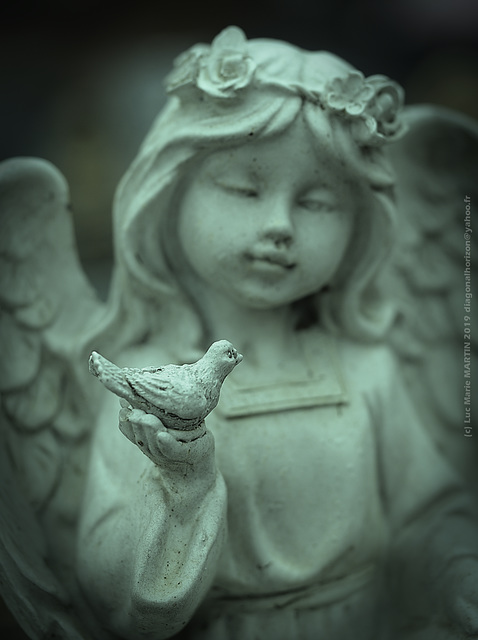 Care & Carpe Diem... (Angel series)