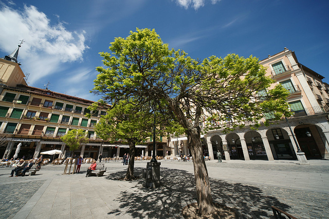 Plaza Mayor