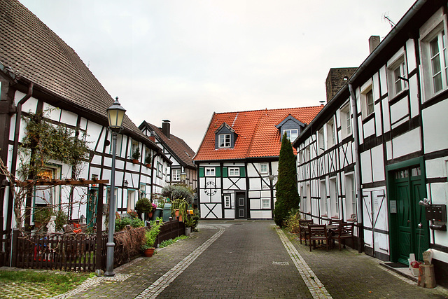 Fachwerkhäuser an der Freiheit (Altes Dorf Westerholt, Herten) / 21.11.2020