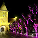 Bergheim 2025 – City gate and purple trees Bergheim 2025 – City gate and purple trees