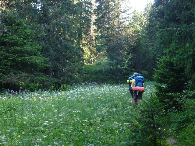 20150710 -15 Rando Spéléo St Pierre de Chartreuse (62)