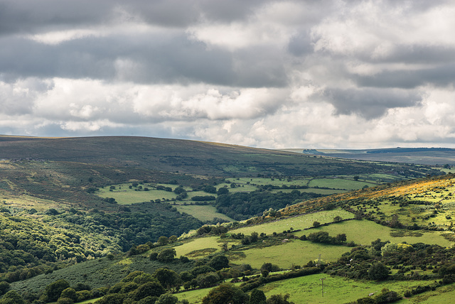 Dartmoor - 20150831