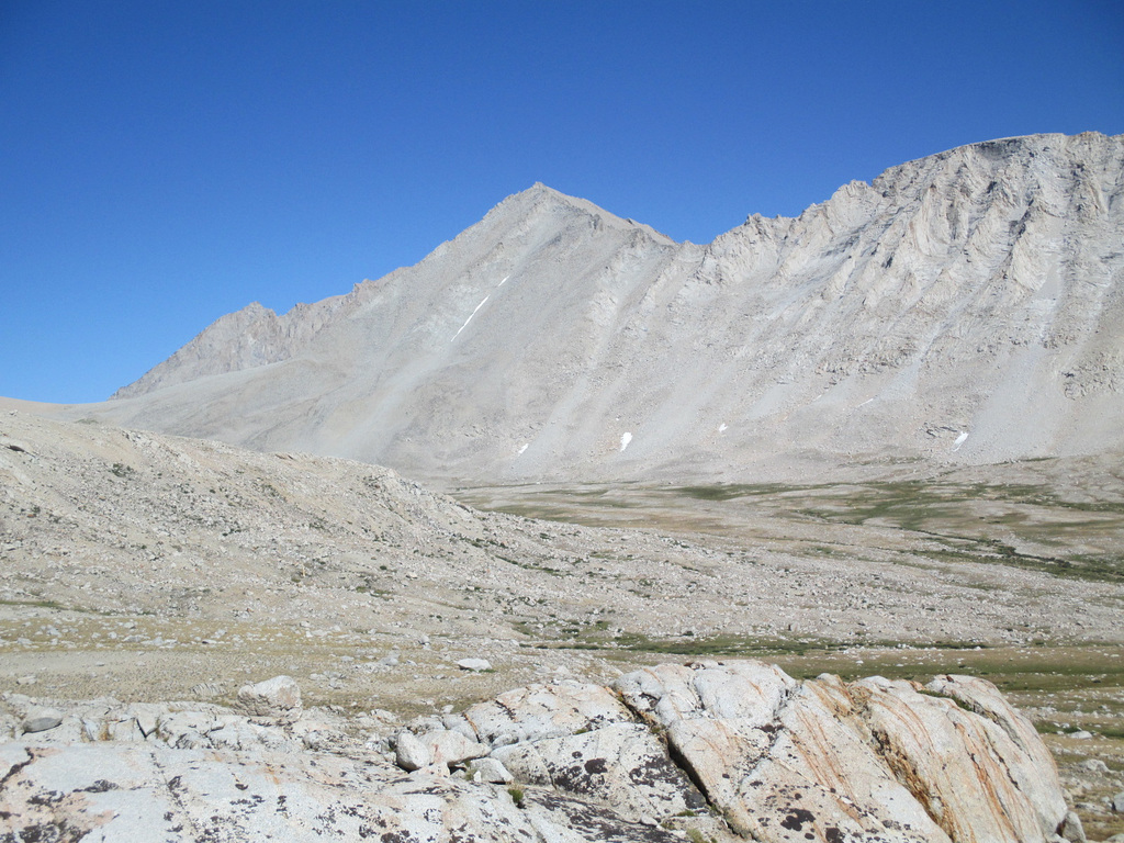 Whitney 140