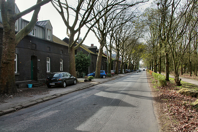 Ripshorster Straße, Werkssiedlung der GHH (Oberhausen) / 8.04.2018