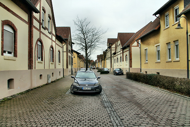 Robertstraße, Zechensiedlung (Hamm-Wiescherhöfen) / 3.02.2019