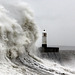 Porthcawl Storms