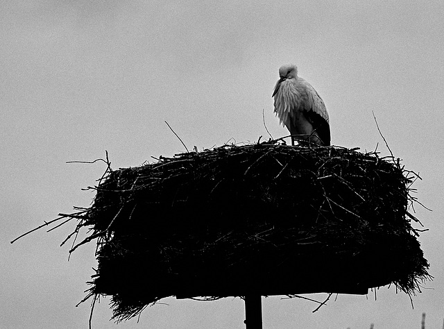 Tierpark Straubing