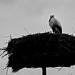 Tierpark Straubing