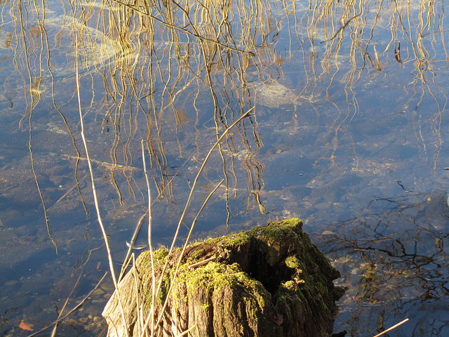 Neubrandenburg -Tollensesee