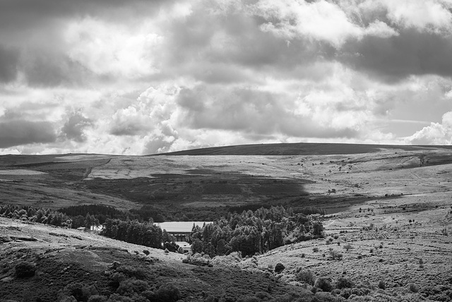 Dartmoor - 20150831