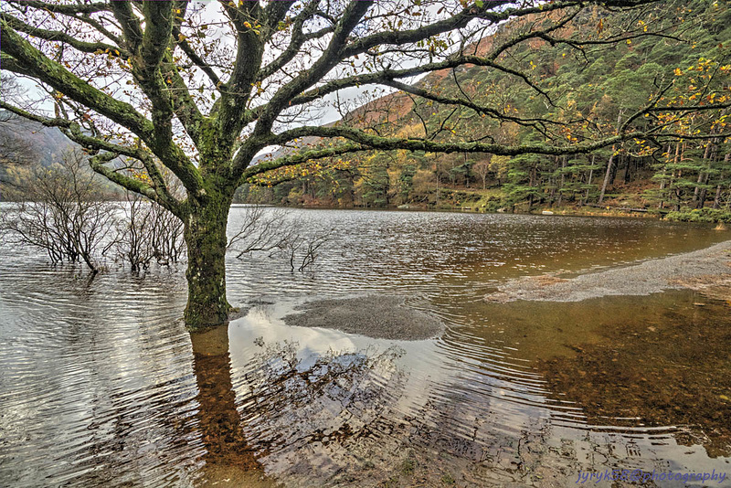 Glendalough 59