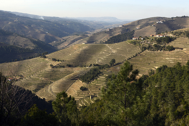 Vale de Mendiz, Alijó