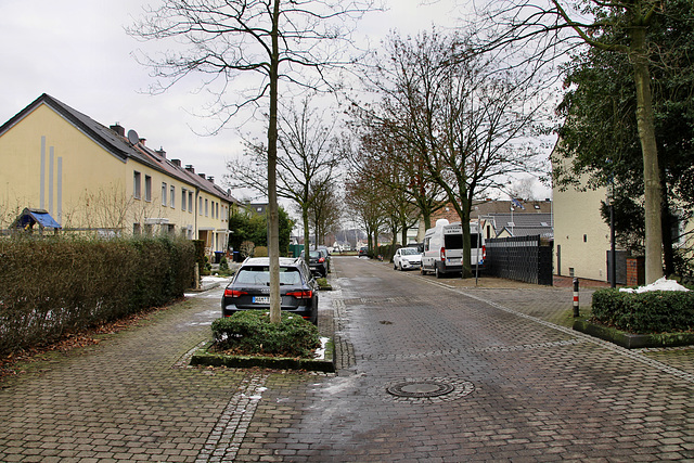 Dünnebank (Hamm-Wiescherhöfen) / 3.02.2019