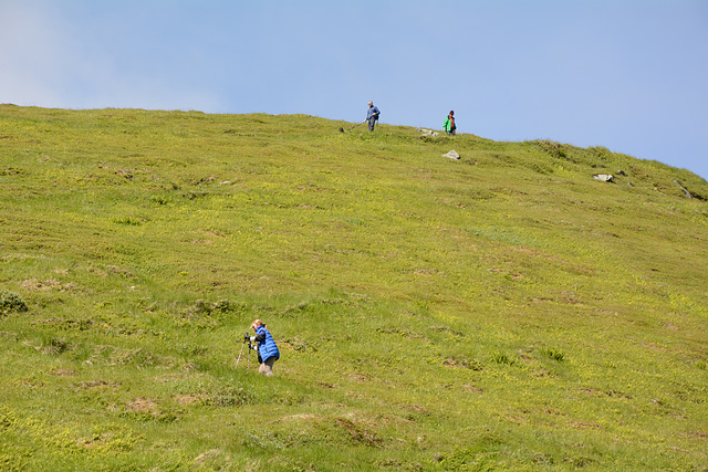 Norway, Lofoten Islands, Path to Climb on the Yttersandheia Ridge