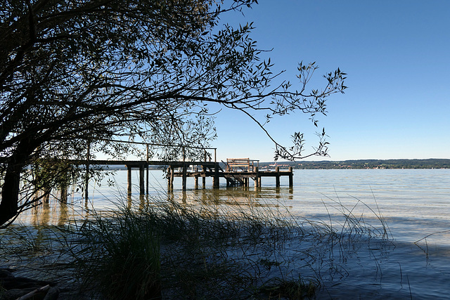 Ammersee (pip)