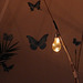 Solar light