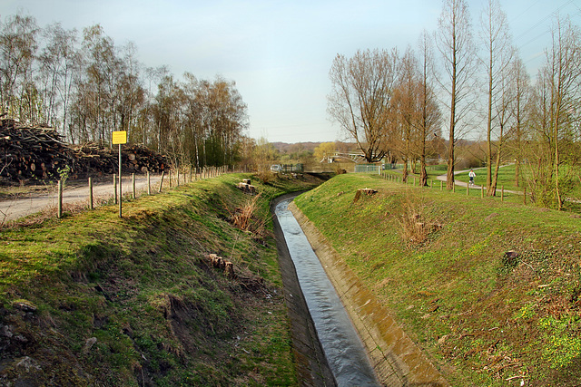 Der Läppkes Mühlenbach kurz vor der Mündung (Oberhausen) / 8.04.2018