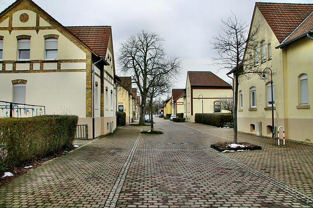 De-Wendel-Straße (Hamm-Wiescherhöfen) / 3.02.2019