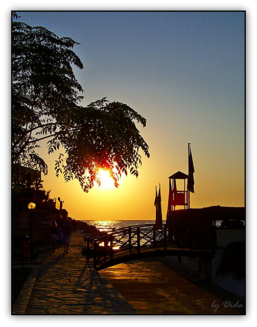 Smell the sea and feel the sky - let your soul and spirit fly...