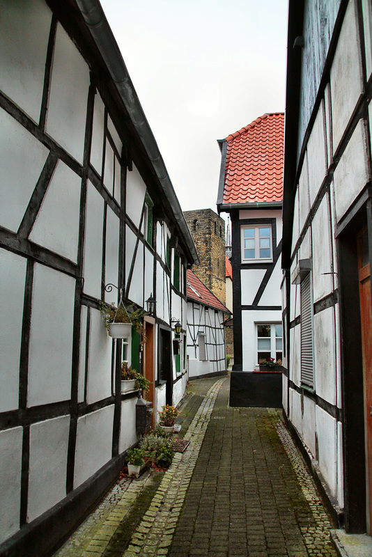 Zwischen den Fachwerkhäusern an der Freiheit (Altes Dorf Westerholt, Herten) / 21.11.2020