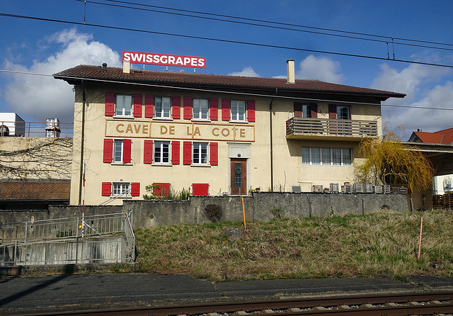 Winzerhaus in Bursinel-VD