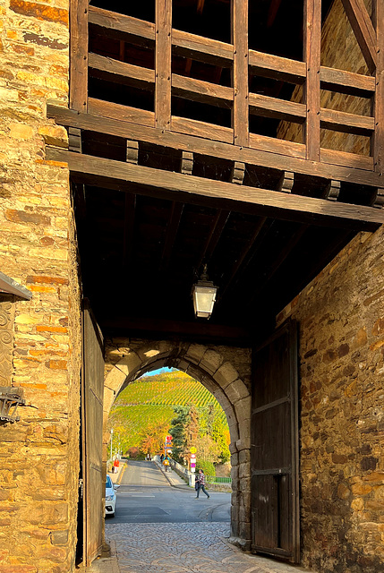 Blick durch das Adenbachtor auf die Weinberge