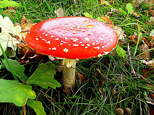 P1310710