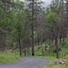 Rim Fire Cherry Lake Rd (#0618)