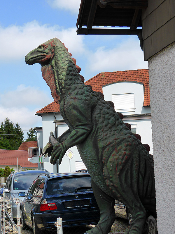 Naturkundemuseum Burgau