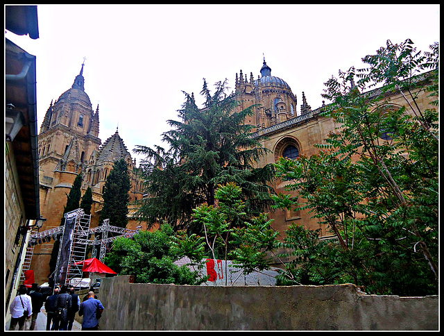 Catedral de Salamanca, 2