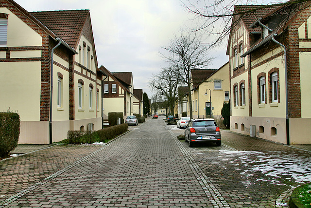 De-Wendel-Straße, Zechensiedlung (Hamm-Wiescherhöfen) / 3.02.2019