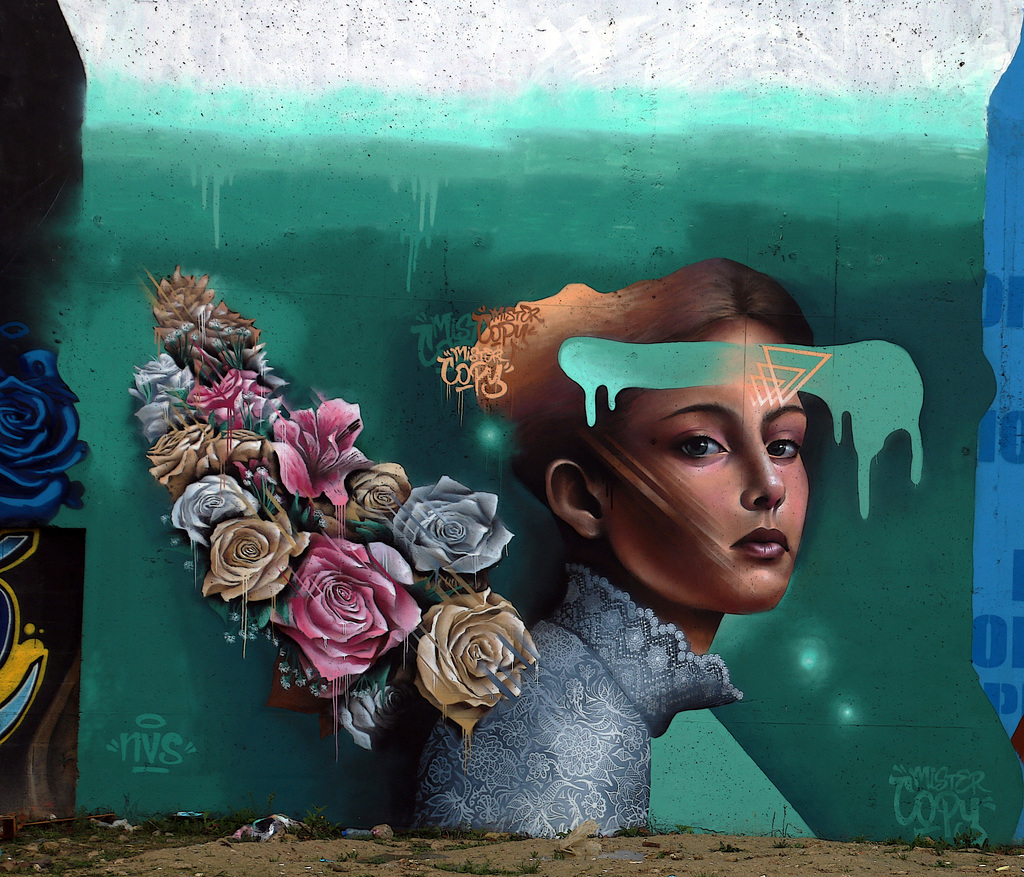 Tout en finesse , une superbe fresque de Mister Copy . Spot 13 à Paris