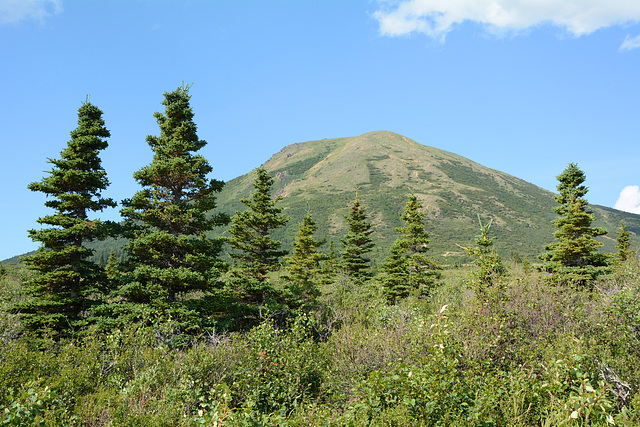 Alaska, Donnelly Dome Trailhead