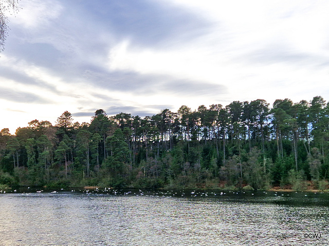 Loch Oire