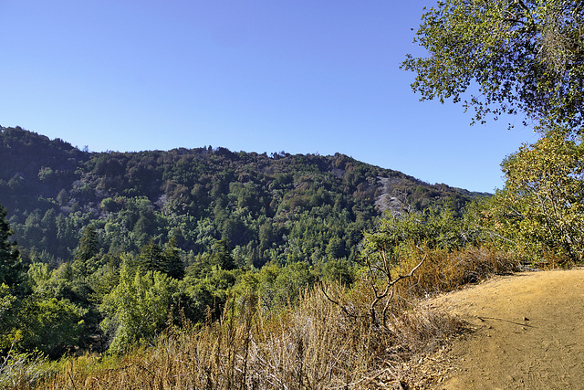 The Valley View Trail, Take 2 – Pfeiffer Big Sur State Park, Monterey County, California