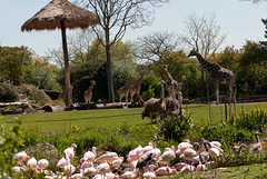 Zoo Leipzig