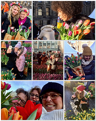 Tulips in Amsterdam, 3...
