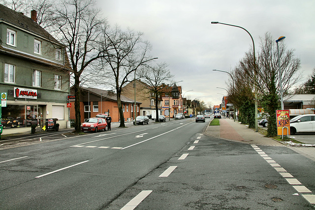 Kamener Straße (Hamm-Wiescherhöfen) / 3.02.2019