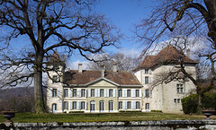 Schloss Bursinel