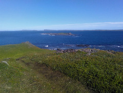 Nature sauvage à contempler