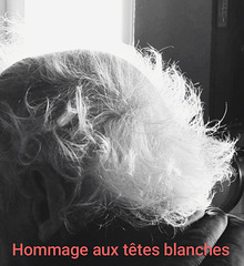 Hommage aux têtes blanches